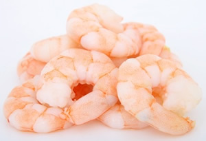 gamba